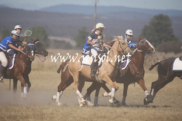 BungendorePolocrosse2013_Sun_1185