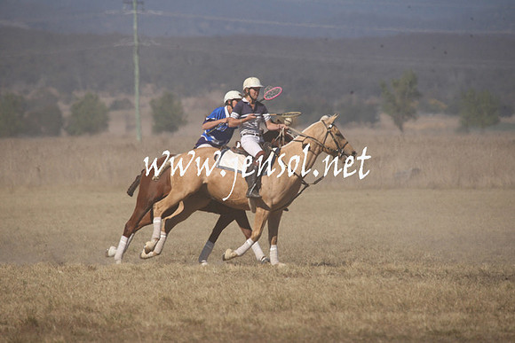 BungendorePolocrosse2013_Sun_1183