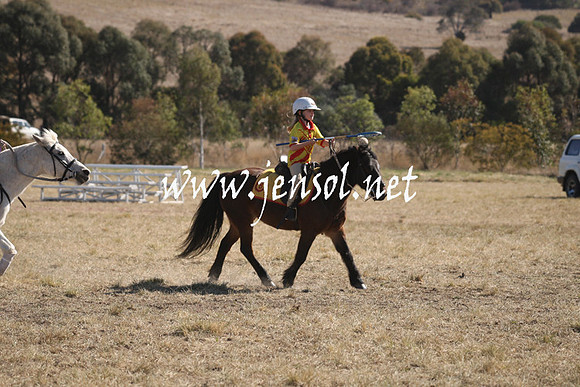 BungendorePolocrosse2013_Sun_1364