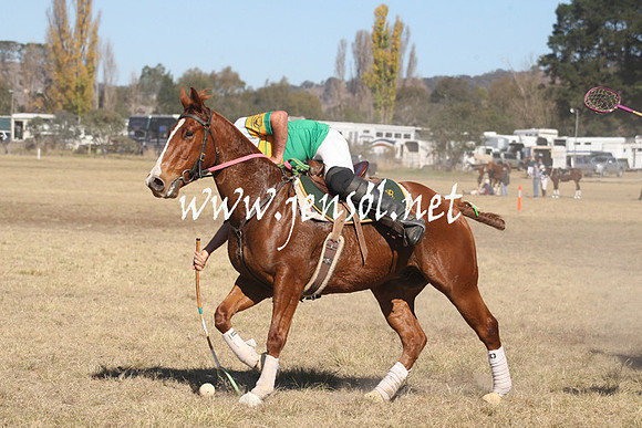 BungendorePolocrosse2013_Sun_1001