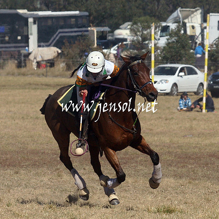 BungendorePolocrosse2013_Sun_1055
