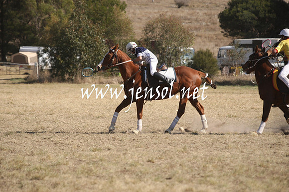 BungendorePolocrosse2013_Sun_0895