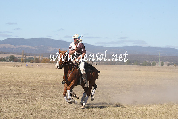 BungendorePolocrosse2013_Sun_1407