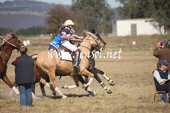 BungendorePolocrosse2013_Sun_1224