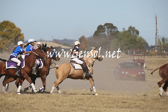 BungendorePolocrosse2013_Sun_1168