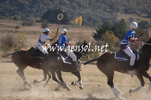 BungendorePolocrosse2013_Sun_0976