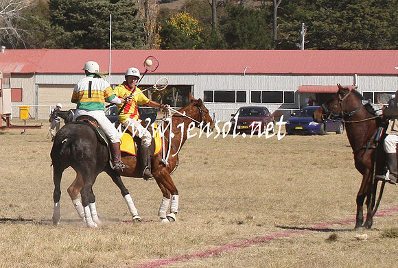 BungendorePolocrosse2013_Sun_1014