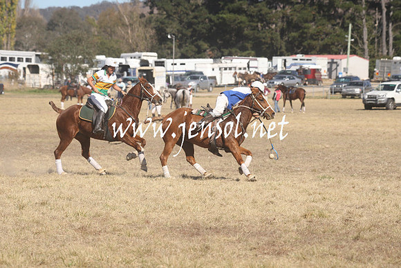 BungendorePolocrosse2013_Sun_1087