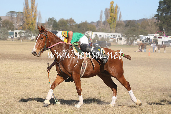 BungendorePolocrosse2013_Sun_1002