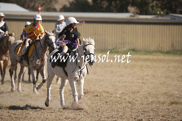 BungendorePolocrosse2013_Sun_1256
