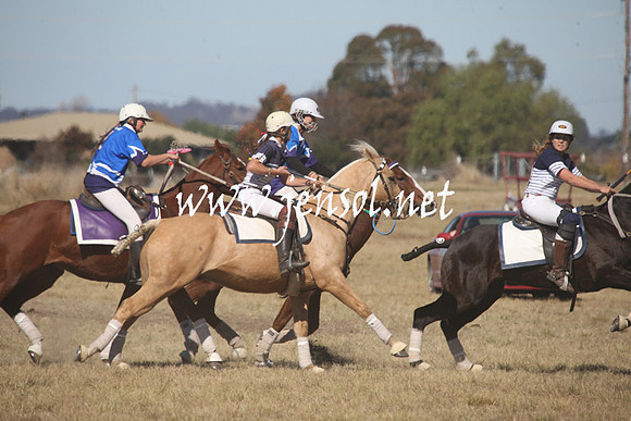 BungendorePolocrosse2013_Sun_1187