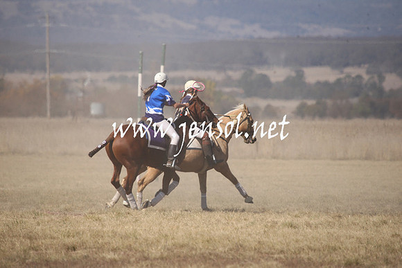 BungendorePolocrosse2013_Sun_1178