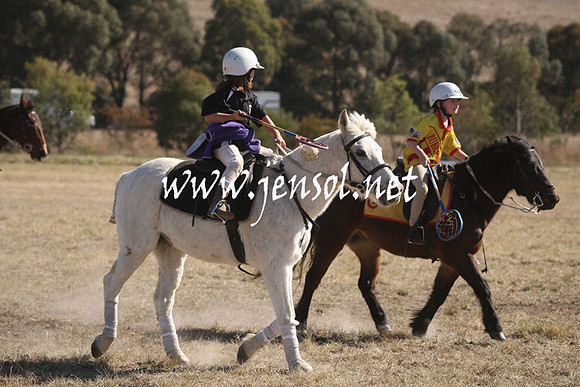 BungendorePolocrosse2013_Sun_1260