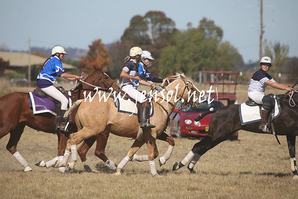 BungendorePolocrosse2013_Sun_1188