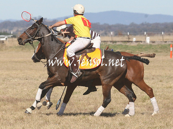 BungendorePolocrosse2013_Sun_1366