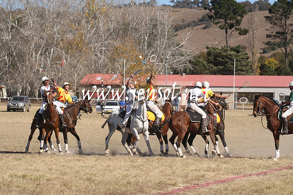 BungendorePolocrosse2013_Sun_1273