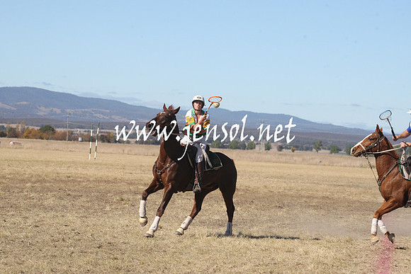 BungendorePolocrosse2013_Sun_0889