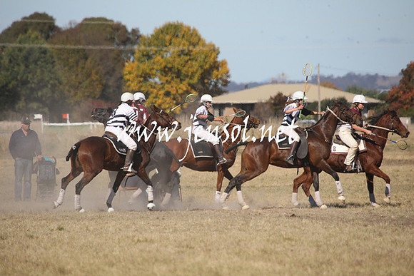 BungendorePolocrosse2013_Sun_1109