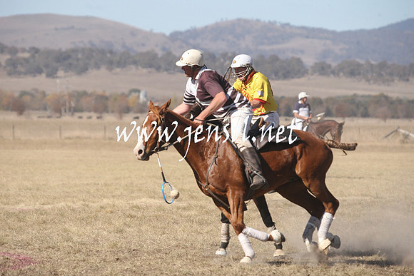 BungendorePolocrosse2013_Sun_1435