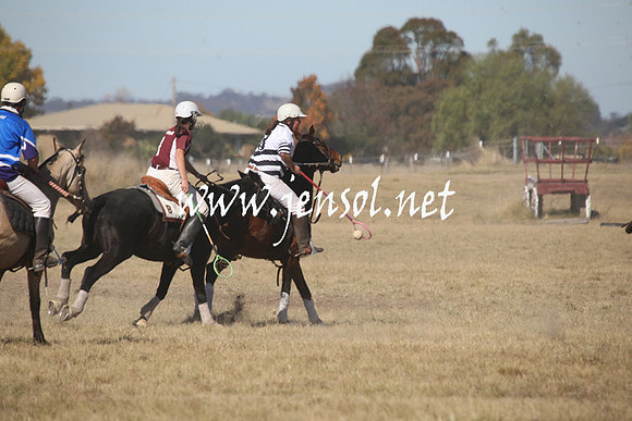 BungendorePolocrosse2013_Sun_0865