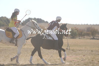 BungendorePolocrosse2013_Sun_0852