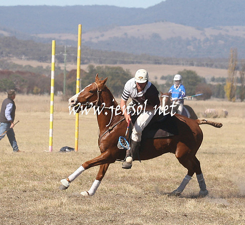 BungendorePolocrosse2013_Sun_1371