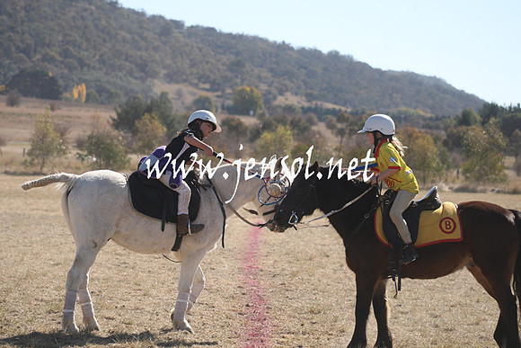 BungendorePolocrosse2013_Sun_1262