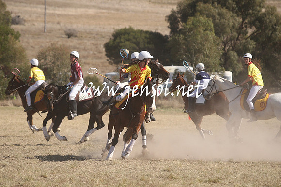 BungendorePolocrosse2013_Sun_0923