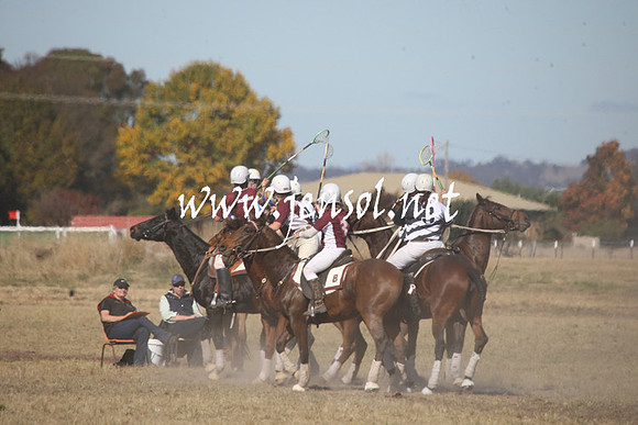 BungendorePolocrosse2013_Sun_1059