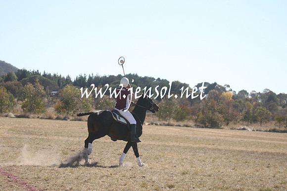 BungendorePolocrosse2013_Sun_0881