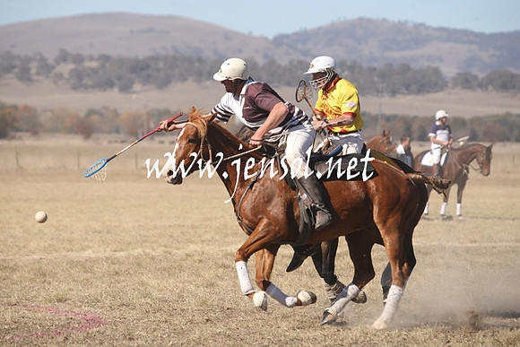 BungendorePolocrosse2013_Sun_1436