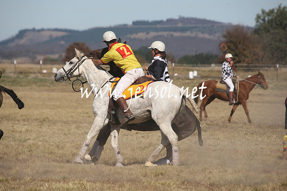 BungendorePolocrosse2013_Sun_1442