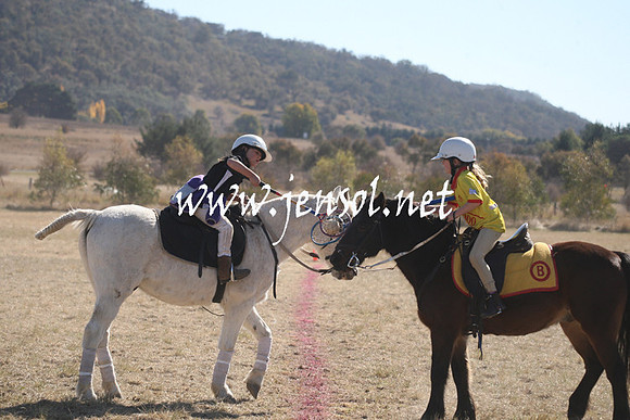 BungendorePolocrosse2013_Sun_1263