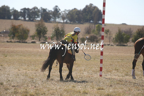 BungendorePolocrosse2013_Sun_1269