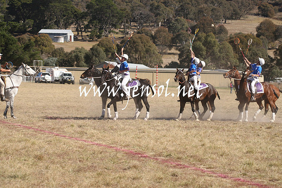 BungendorePolocrosse2013_Sun_0936
