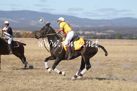 BungendorePolocrosse2013_Sun_1341