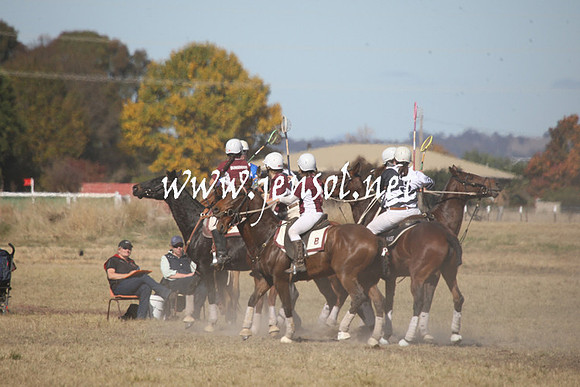 BungendorePolocrosse2013_Sun_1060