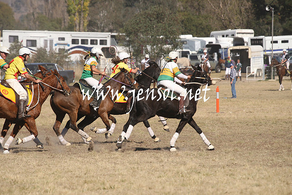 BungendorePolocrosse2013_Sun_1009