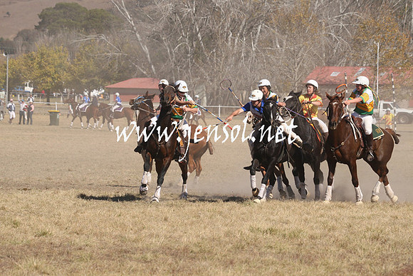 BungendorePolocrosse2013_Sun_1122