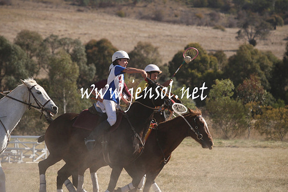 BungendorePolocrosse2013_Sun_1084
