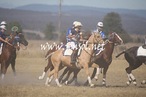 BungendorePolocrosse2013_Sun_1186