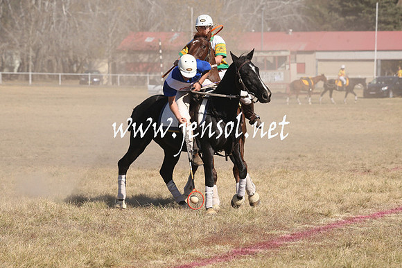 BungendorePolocrosse2013_Sun_0910