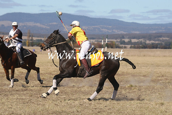 BungendorePolocrosse2013_Sun_1342