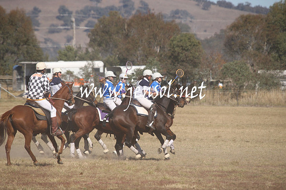 BungendorePolocrosse2013_Sun_1291