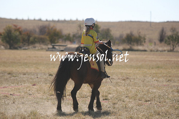 BungendorePolocrosse2013_Sun_1267