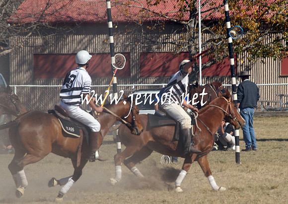 BungendorePolocrosse2013_Sun_1240