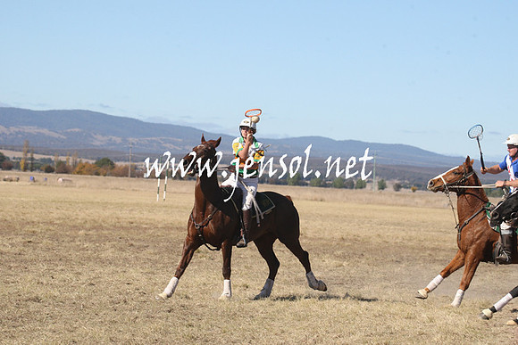 BungendorePolocrosse2013_Sun_0890