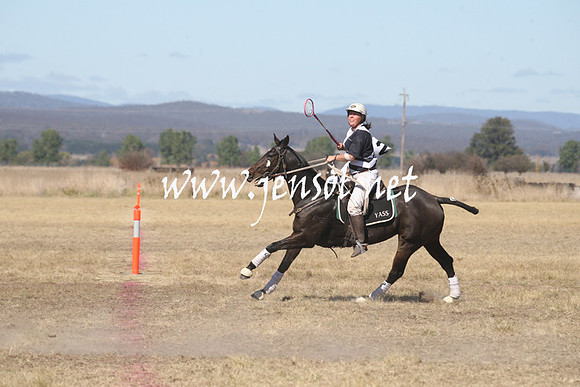 BungendorePolocrosse2013_Sun_1449