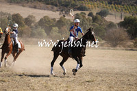 BungendorePolocrosse2013_Sun_0844