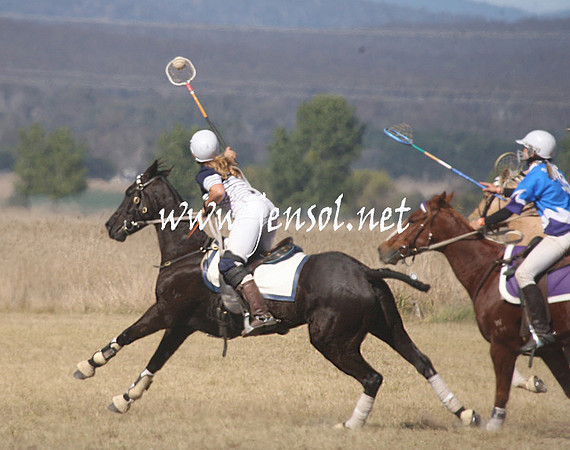 BungendorePolocrosse2013_Sun_1362